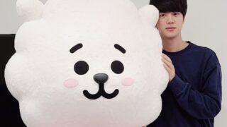 BT21　RJ（アールジェイ）ジン　キャラクター紹介